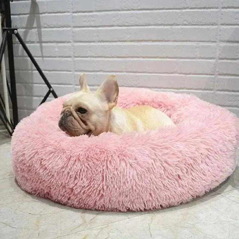 Beignet Lit Pour Chiens Et Chats
