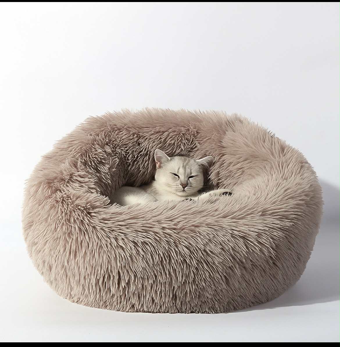 Beignet Lit Pour Chiens Et Chats