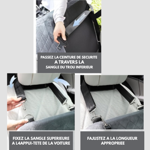 Siege Auto Pour Votre Compagnon