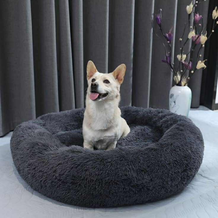 Beignet Lit Pour Chiens Et Chats