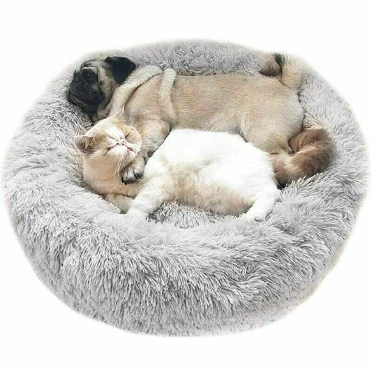 Beignet Lit Pour Chiens Et Chats